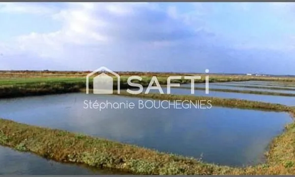 DOMAINE MARITIME RARE - SITE CONCHYLICOLE & AQUACOLE - ÎLE D'OLÉRON