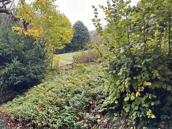 Centre de Villennes-sur-Seine