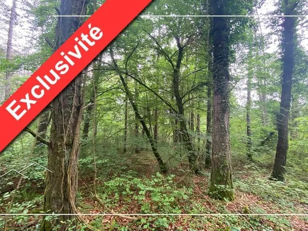 Terrain 67687 m²