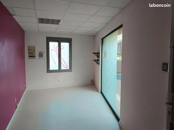 Local professionnel hypercentre