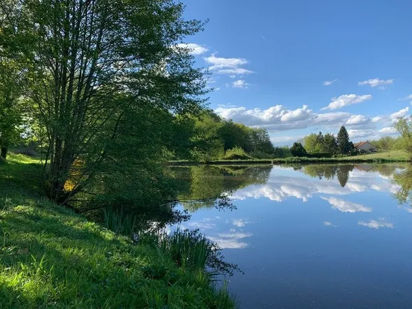 Etang de pêche sur terrain de plus de 2 hectares