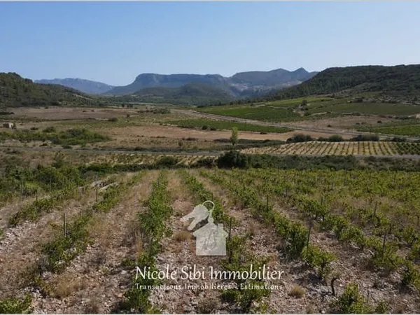 Vente terrain