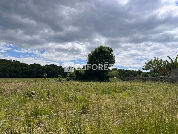 Terrain 1000 m²
