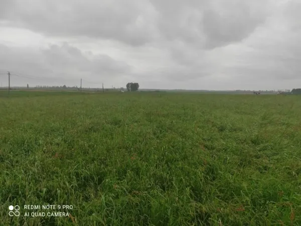 Terrain 684 m²