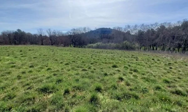 Terrain 5000 m²