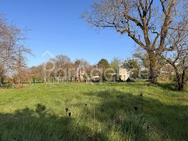ETAULES CENTRE BELLE PARCELLE DE TERRAIN 882 M2