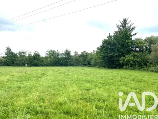 Terrain 7985 m²