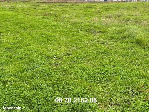 Terrain construcitble-1084m2-03000 AVERMES