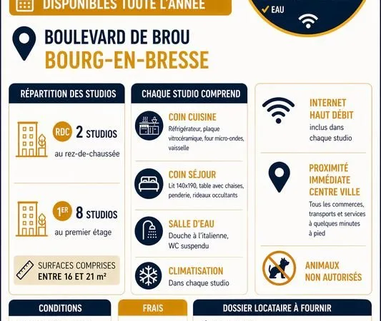 Studios meublés entièrement rénovés - Disponibles à partir du 1er juillet 2026