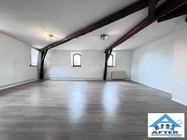 VASTE APPARTEMENT DANS IMMEUBLE DE CARACTERE