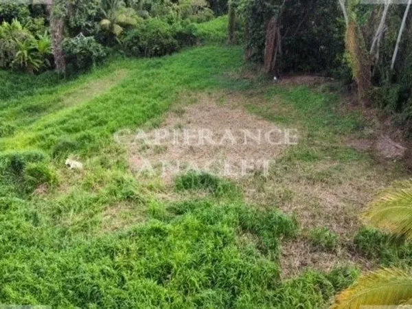 Dpt Martinique (972), à vendre LE LAMENTIN terrain de 2500 m² vue mer