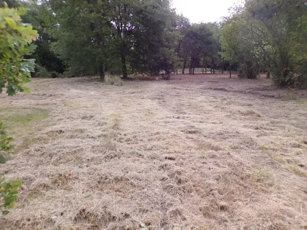 Theillay Bourg 41 - Terrain constructible - 4 000 M²