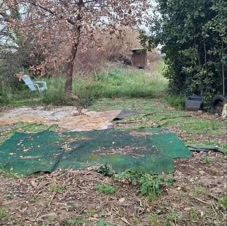 Immobilier terrain