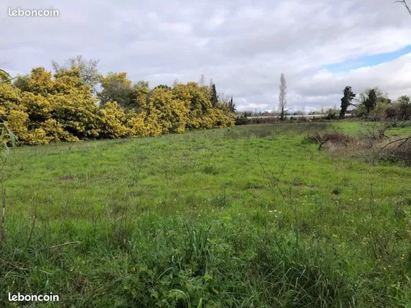 Terrain 1ha pour projet agricole