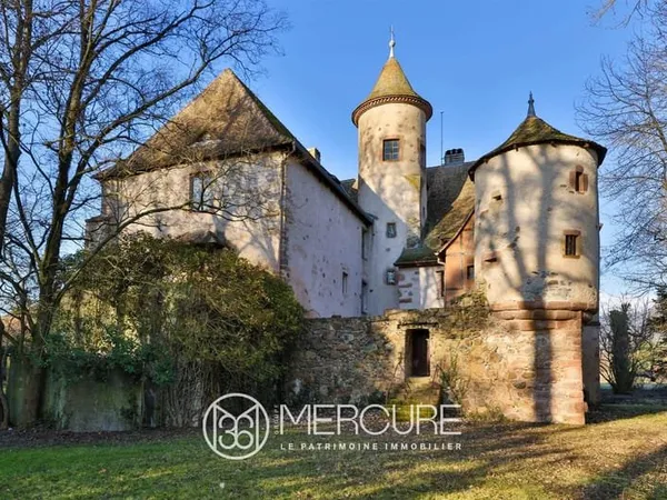 Haut Rhin - Chateau Xiieme Ismh- Dependances- Parc 3,5Ha