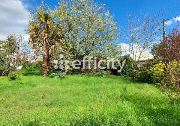 Terrain 445 m²