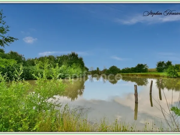 Terrain à vendre de 31 710,00 m² BOULT AUX BOIS (08)