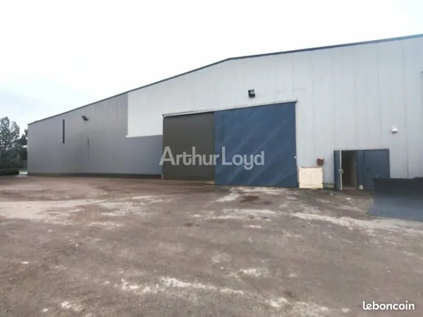 Local bureaux 454 m²