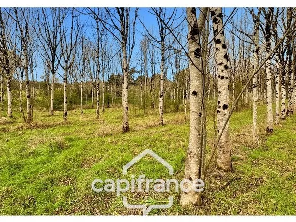 Rare sur le secteur ! Bergerie à rénover avec plus de 4,2 hectares de terrain - Monflanquin