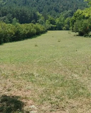 Parcelle 4820m2 belle vue