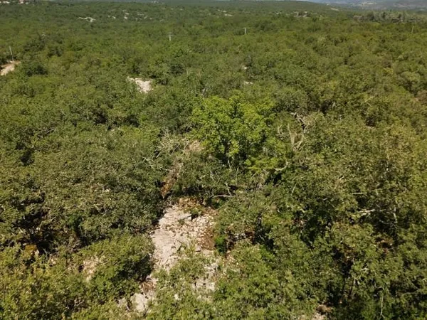 Terrain 10590 m²