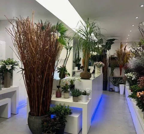Local 137 m²