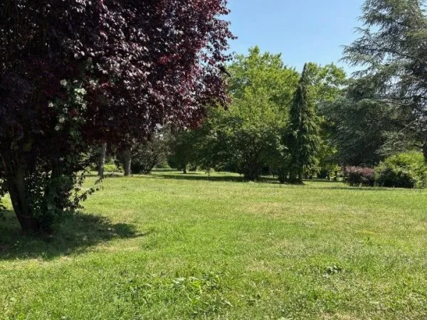 Terrain 302 m²