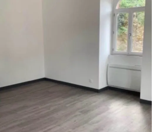 À louer - Appartement T2 entièrement rénové en plein centre-ville