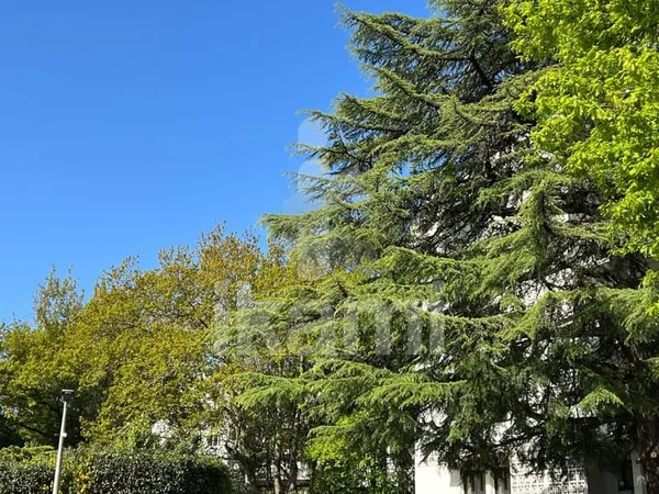 Bel appartement spacieux au coeur de Caudéran avec extérieur