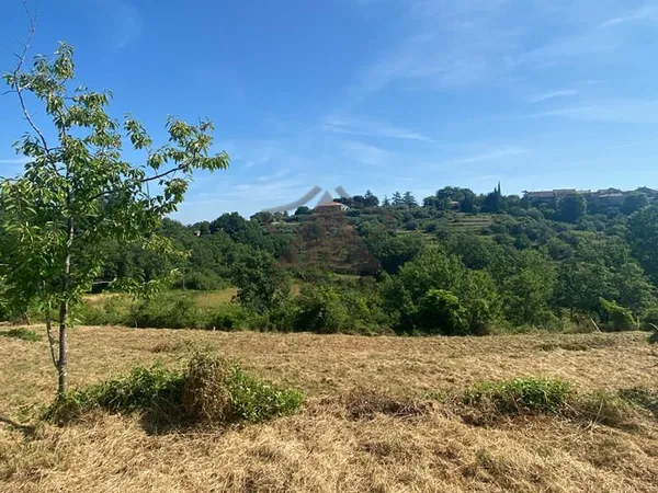 Terrain - Jolie environnement