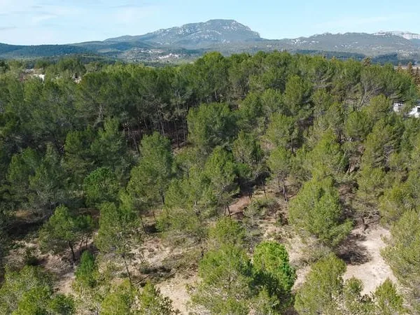 Terrain - 610