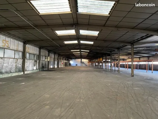 Local industriel 5 243 m²