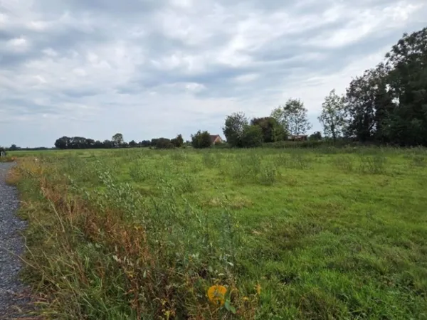 Terrain 1539 m²