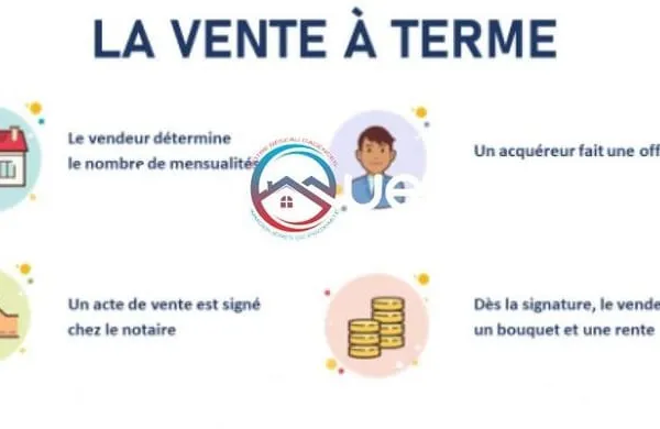 Maison en Vente à terme - Saint-Omer (62500)