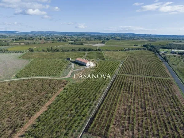 Exploitation viticole avec cave de vinification