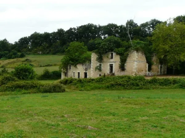 Maison de Maître en ruine avec 6 Ha