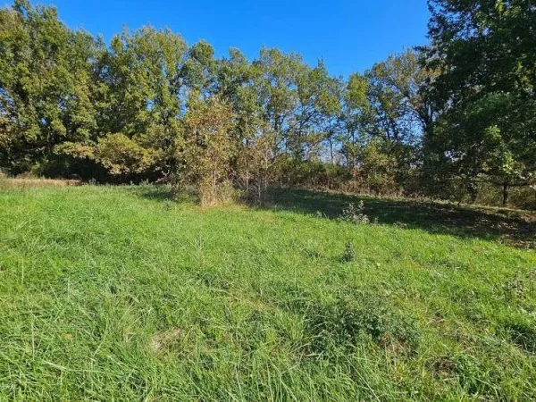 Terrain à bâtir 2000 m2 - borné - viabilisé