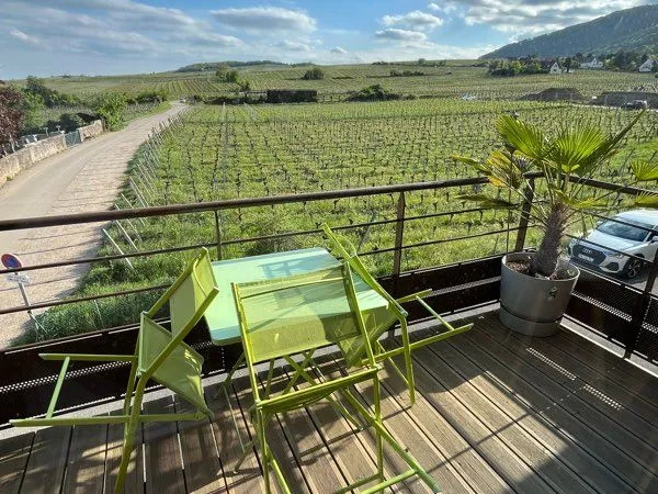 À vendre - Charmant duplex avec vue exceptionnelle à Riquewihr