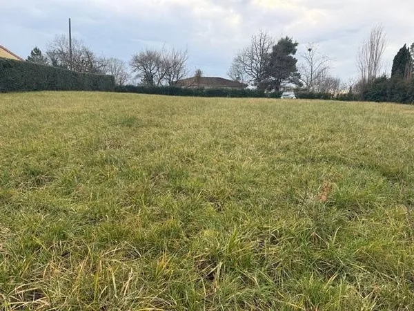 Terrain 2019 m²