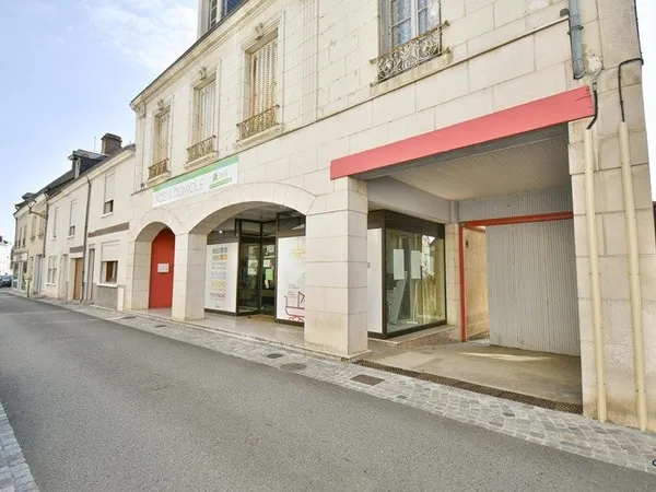 Immeuble à vendre VALENCAY (36)