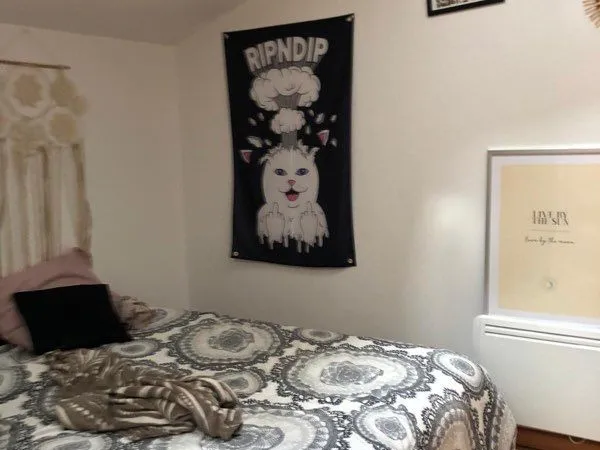 Location appartement meublé avec 1 chambre