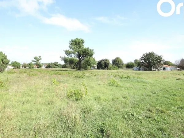 Terrain 534 m²