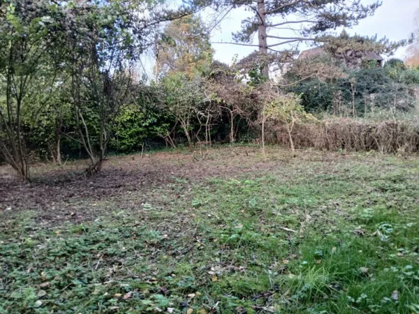 Terrain 590 m²