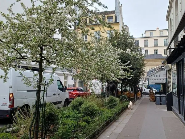 Boutique 37 m²