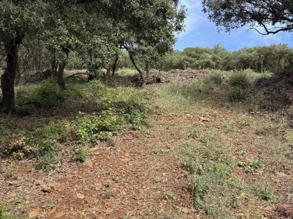 Terrain constructible 854 m²