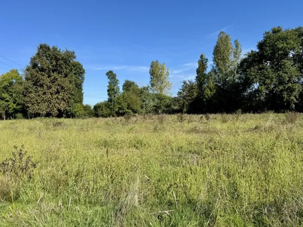 Terrain 1650 m²