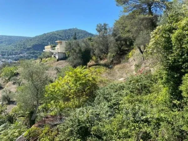 vente terrain