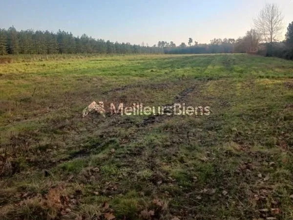 Terrain agricole 12 000 m² Saint Savin