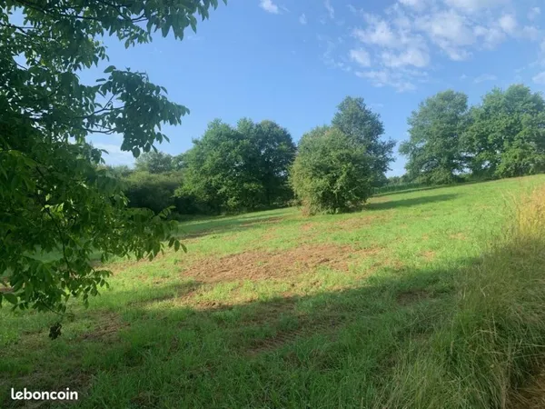 Terrain 4438 m² Targon