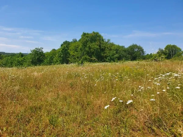 Terrain 320 m²